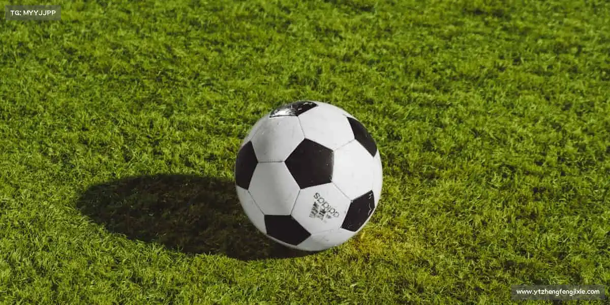 米兰官网🏈团队协作,火力全开!这里有热血赛事,更有兄弟并肩!